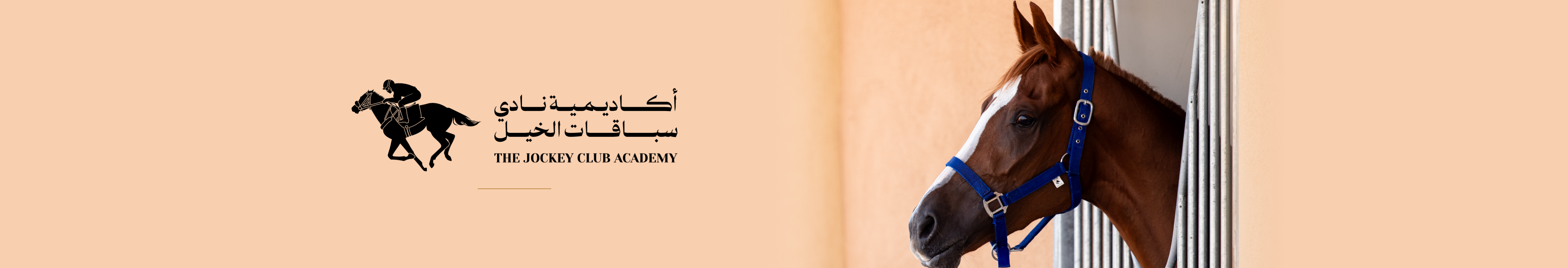 Banner-selection (2).png