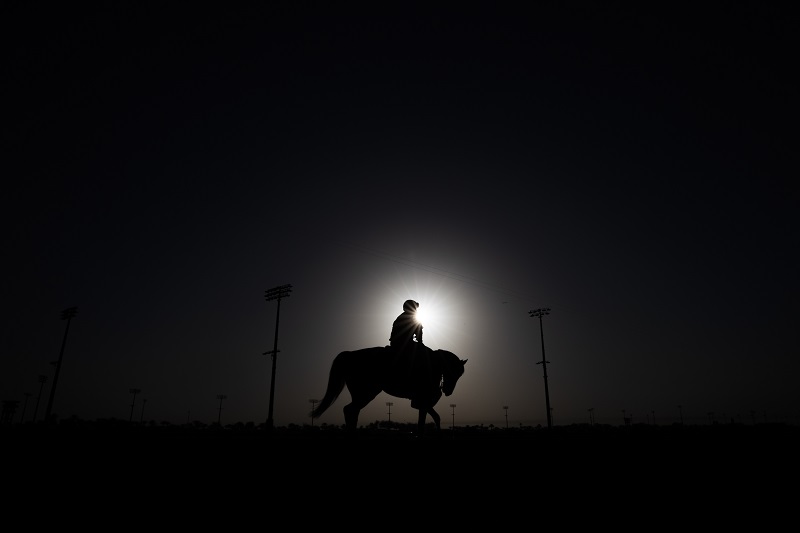 RS7775_2022.02.25_Trackwork_GENERAL_Mahmoud Khaled_MK1_4571 racing sunlight_web.jpg