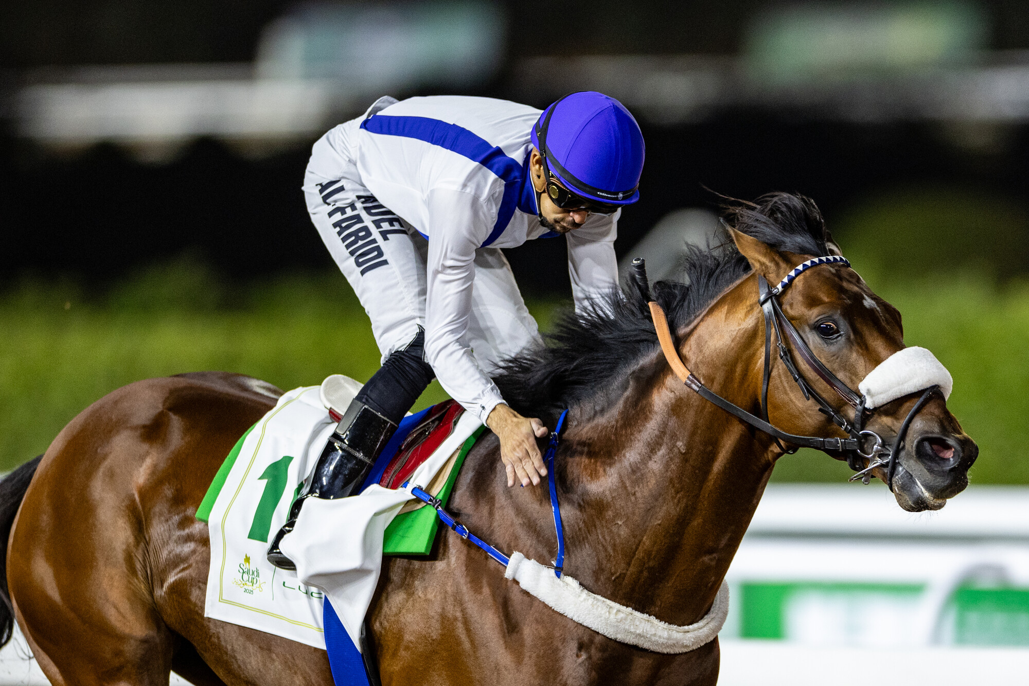 20251119_RS34884_21.2.25_IJC_RACE 7_SCOTLAND YARD_NEVILLE HOPWOOD.jpg