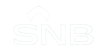 SNB logo.png