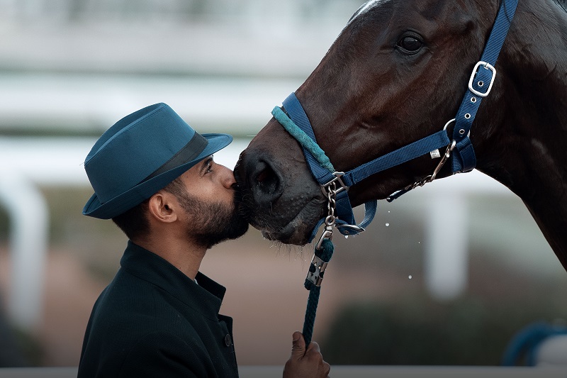man kiss horse_web.jpg