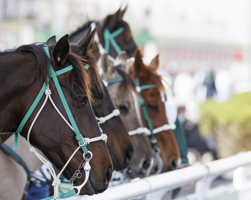 RS8778_22_2_25_IJD_GENERAL_Douglas DeFelice_DD3_5573 racing horses_web.jpg