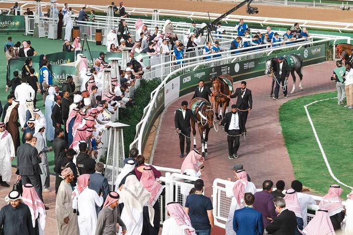 Where to Watch the horses - Parade Ring.jpg