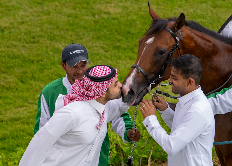 Equine Welfare