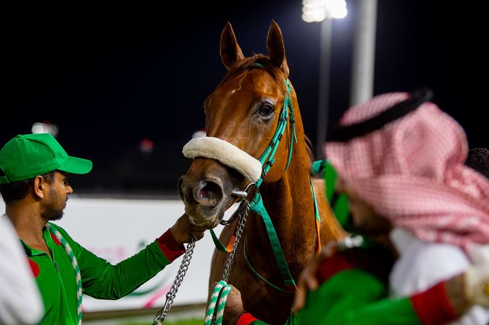 taif racing.jpg