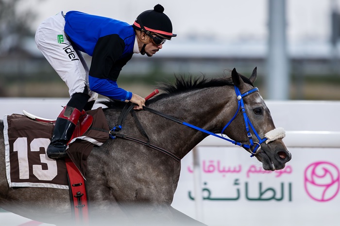 A62I8555-Enhanced-NR taif racing.jpg