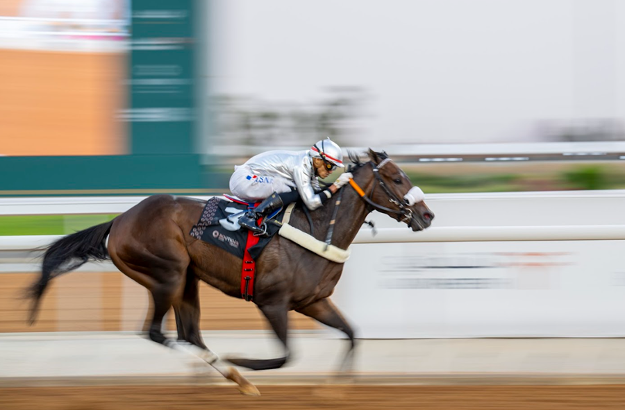 Taif Race Night 4.png